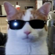 FAngelo
