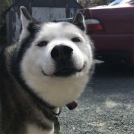 pastimilu
